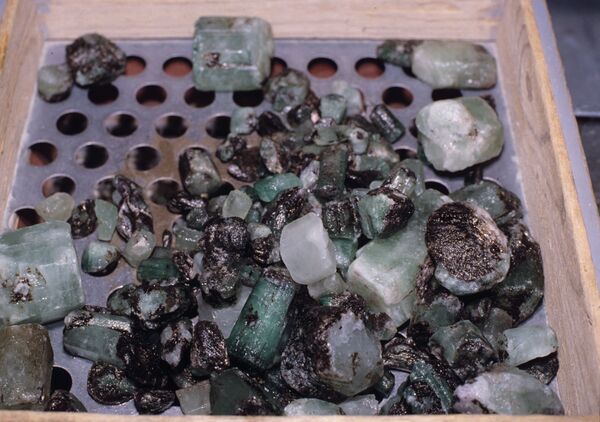 Малышевские изумруды на сортировке Малышевские изумруды на сортировке