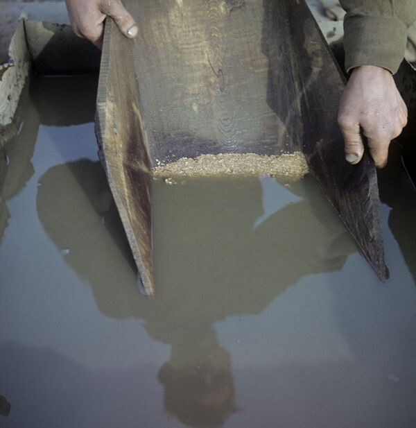 Промывка золота в лотке Промывка золота в лотке