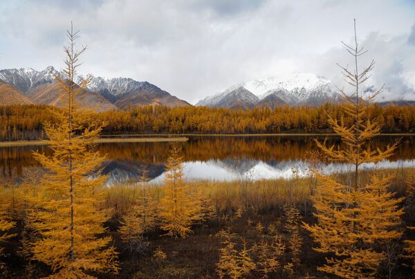 Регионы России. Забайкалье Регионы России. Забайкалье