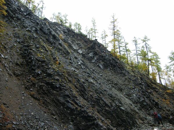 Медный пласт Ункура Медный пласт Ункура