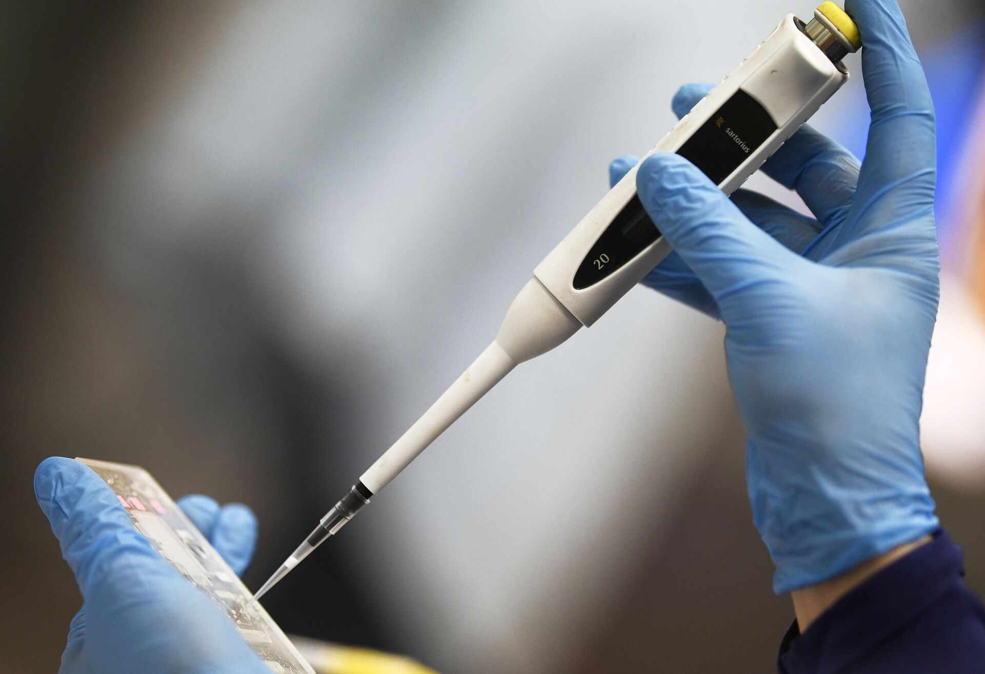 Демонстрация диагностики для обнаружения коронавируса центром ФМБА России - ПРАЙМ, 1920, 09.02.2021